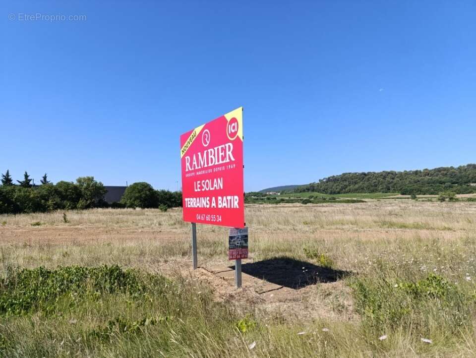 Terrain à SAINT-MATHIEU-DE-TREVIERS