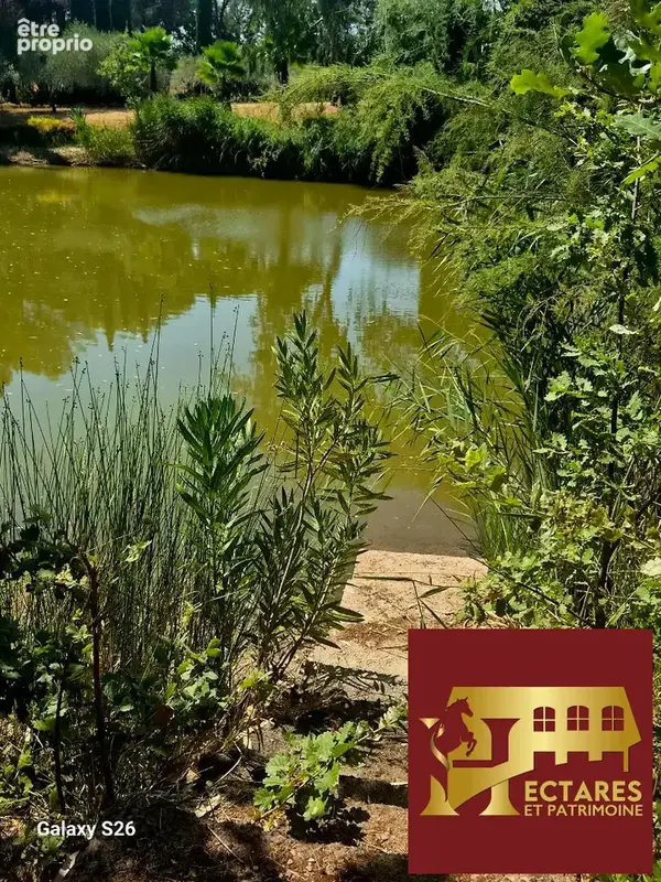 Propriété de charme sur 1ha de terrain au calme absolu sans être isolé - photo 13