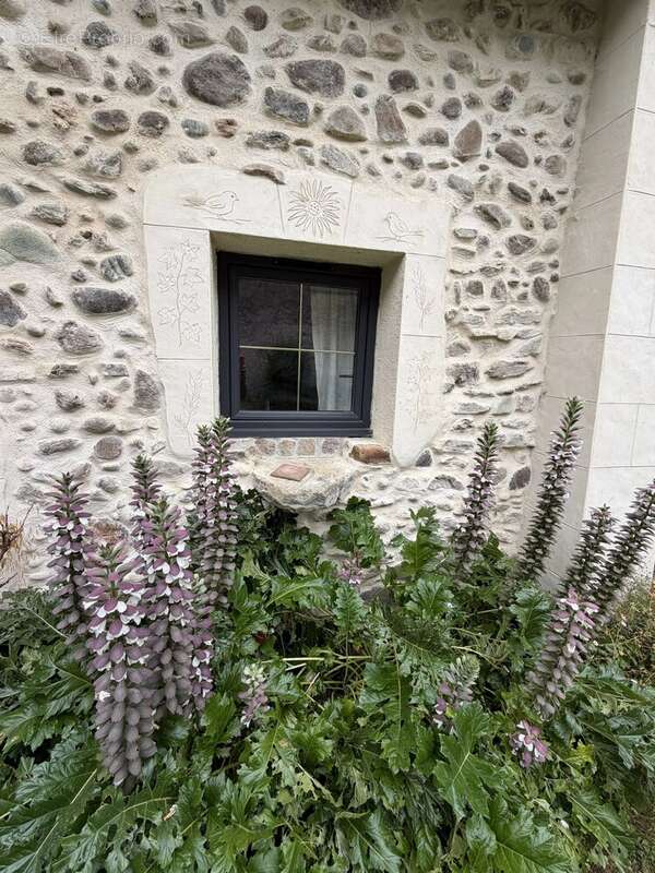 Enclos Bearnais lagos - photo 18