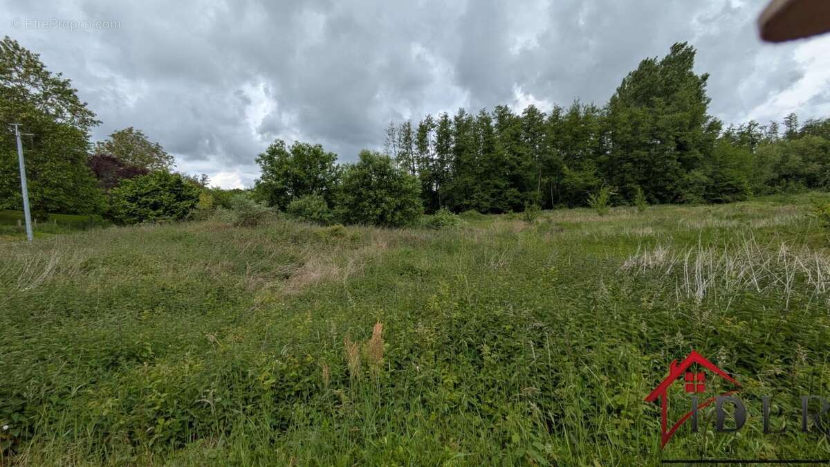 maison à rénover avec 13 000m2 terrain - photo 9