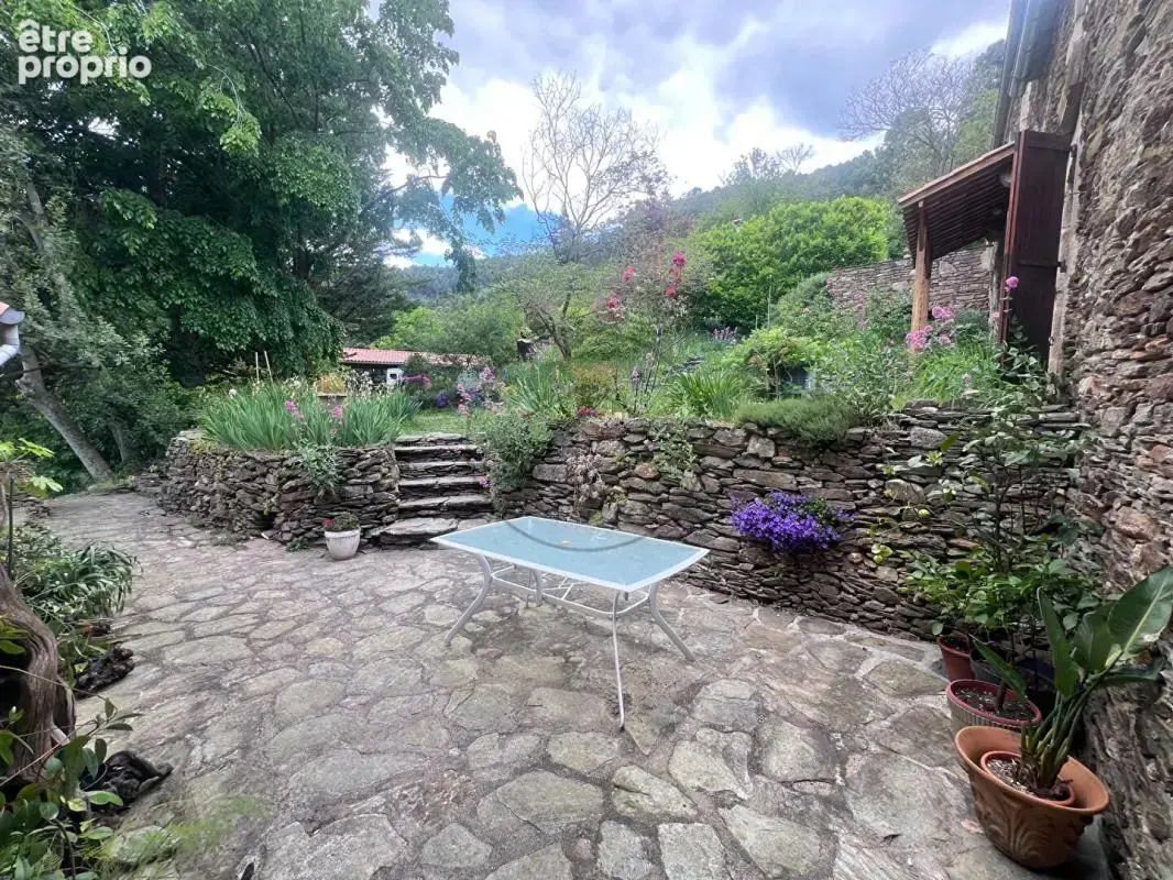 Mas de charme avec gîte et piscine - photo 2