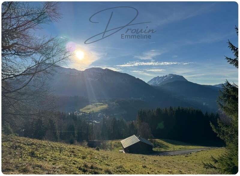 Terrain à ARACHES-LA-FRASSE