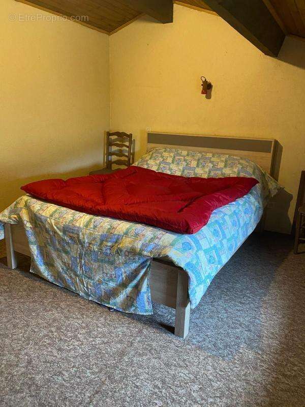 Maison à SAINT-JEAN-LE-CENTENIER