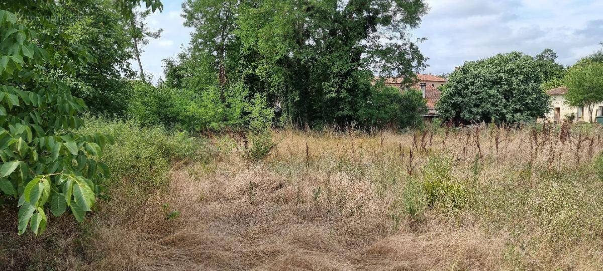Terrain à SARAMON