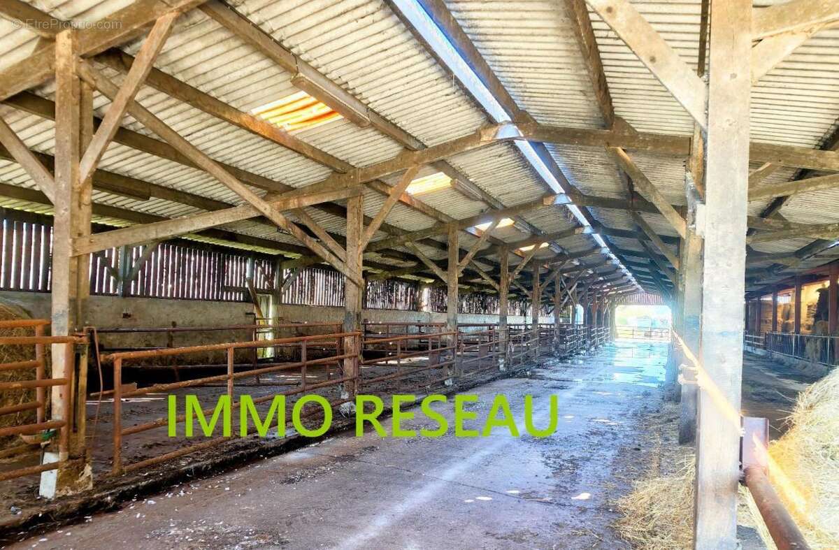 Commerce 5500 m² à Saint-Hilaire-De-Riez  - photo 3