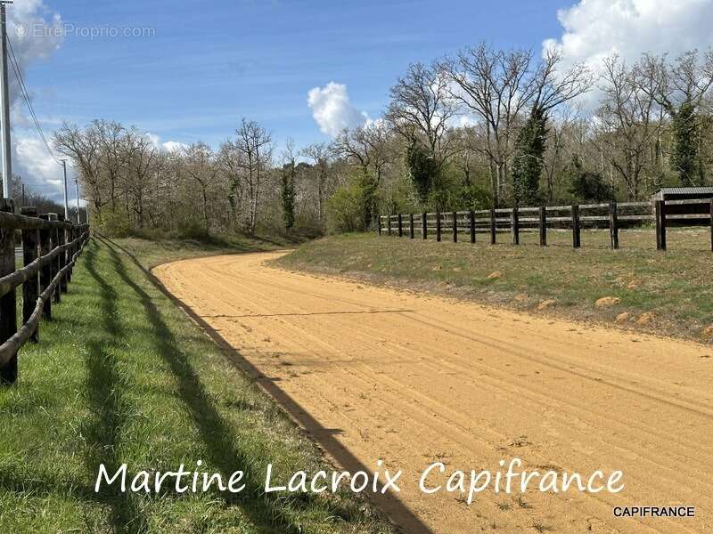 Dpt SARTHE (72), à vendre LA FERTÉ-BERNARD - PROPRIÉTÉ  P5 de 100 m² - Terrain de 10 Ha - photo 25