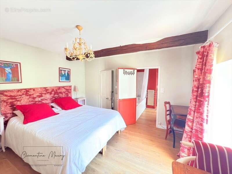 Maison de caractère a vendre, centre ville de Vendome, 9 pièces 250m2 - photo 7