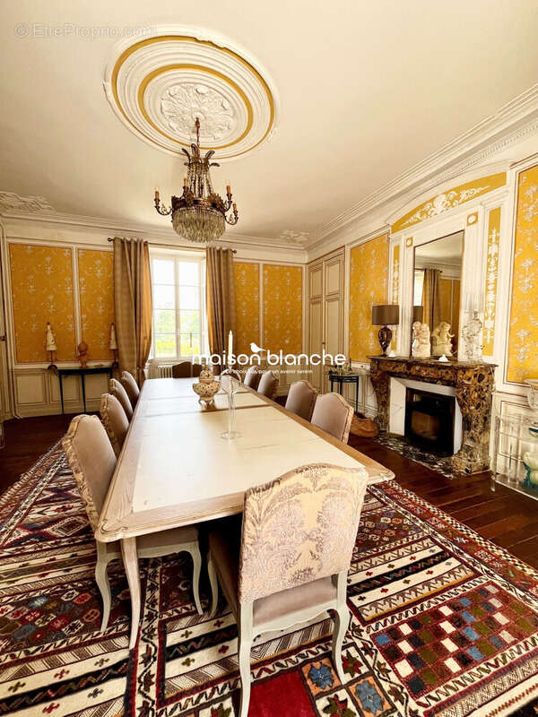 Maison 370 m² à Saint-Denis-La-Chevasse  - photo 5