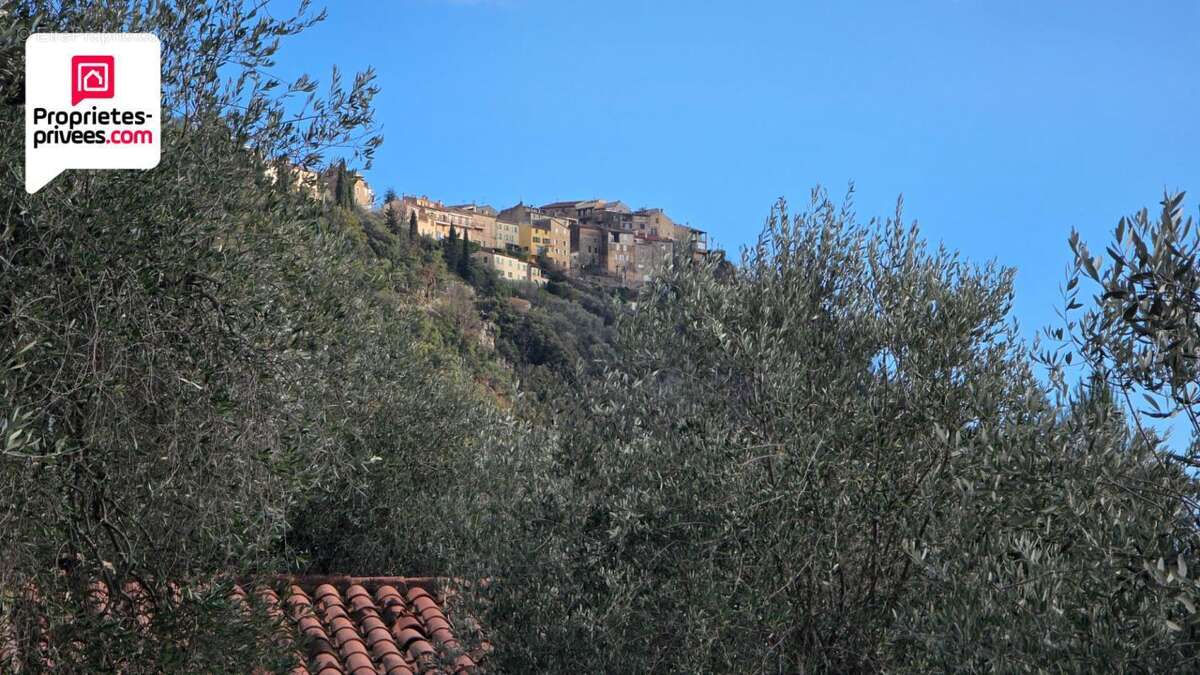 Terrain à SAINT-CEZAIRE-SUR-SIAGNE