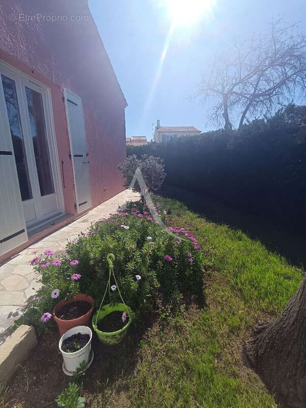 Maison à FRONTIGNAN