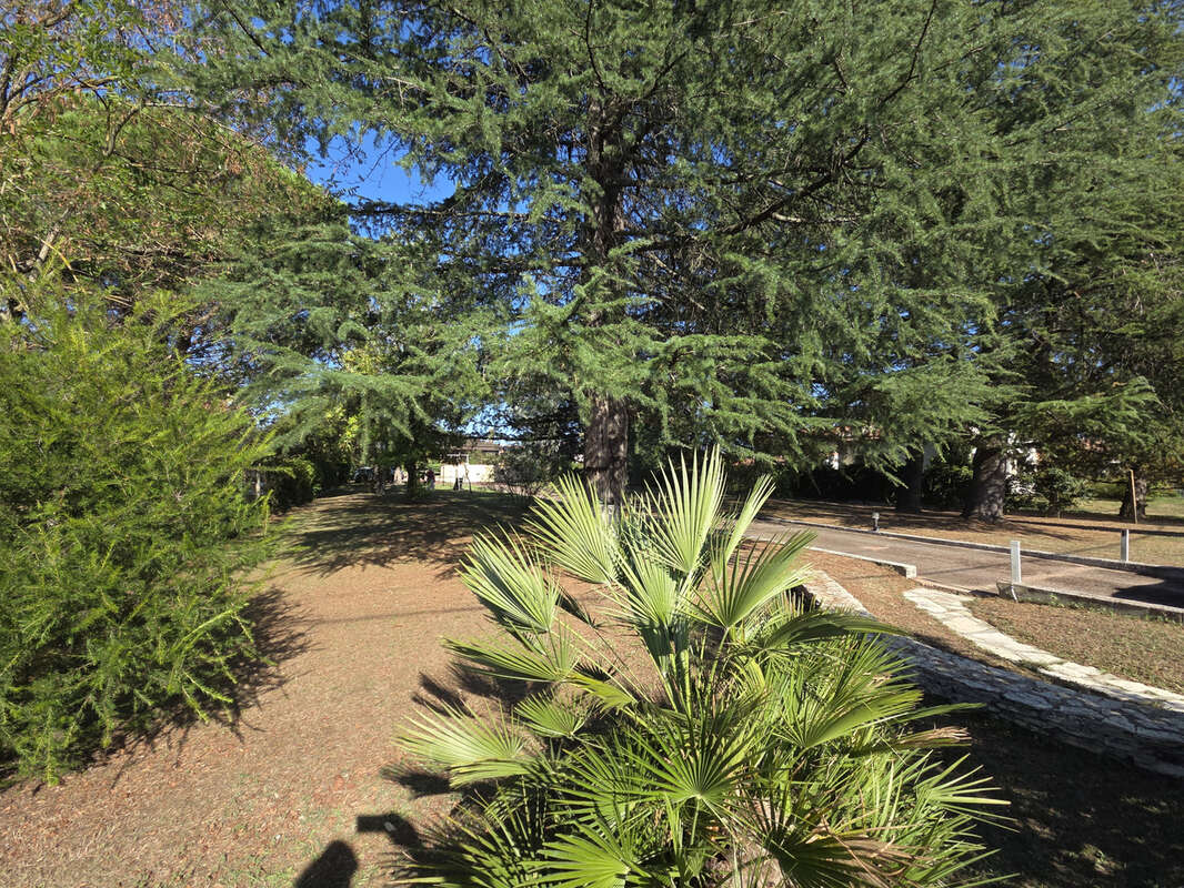 Maison à CASTELGINEST