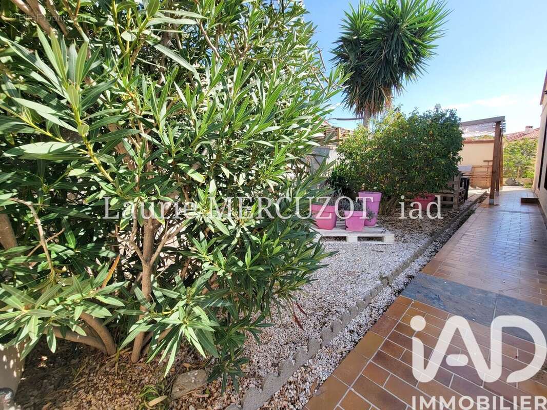 Photo 2 - Maison à PERPIGNAN