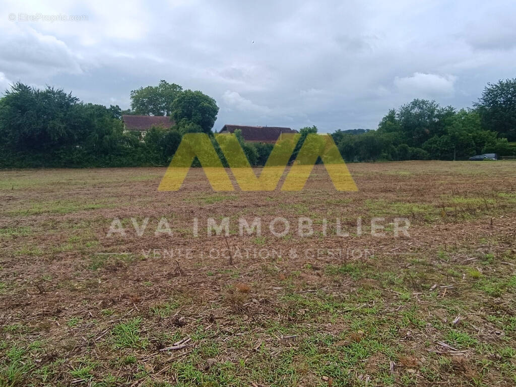 Terrain à TABAILLE-USQUAIN