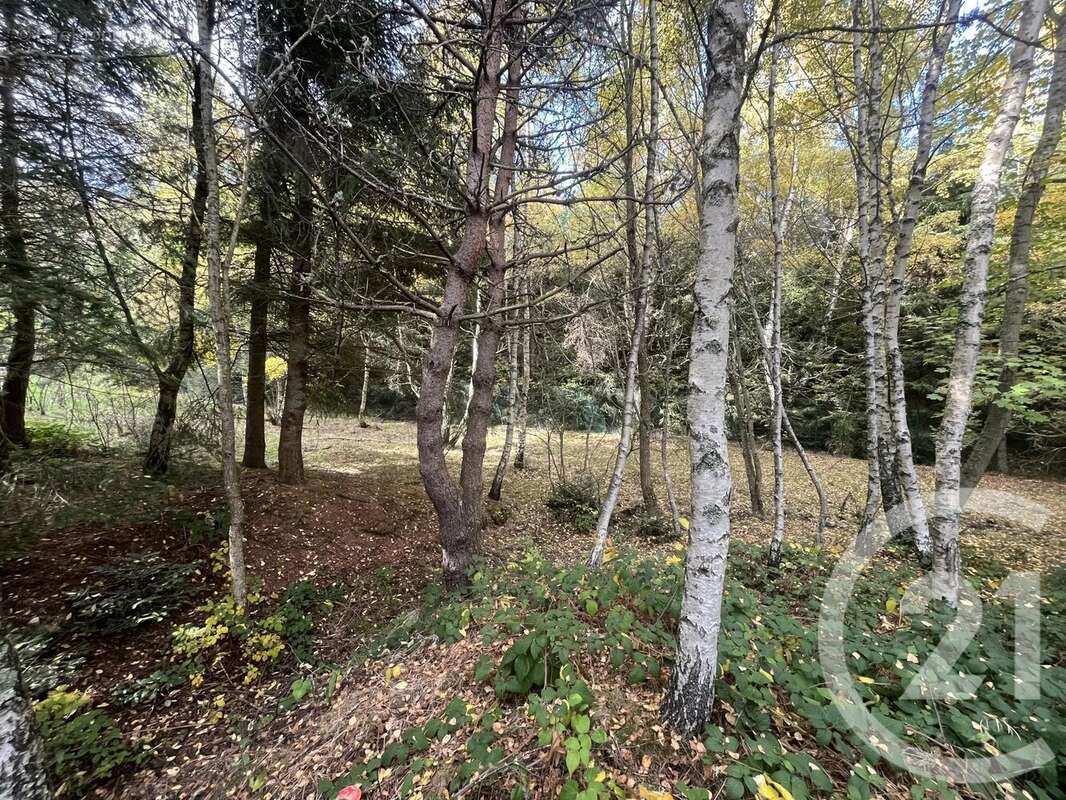 Terrain à BURDIGNES