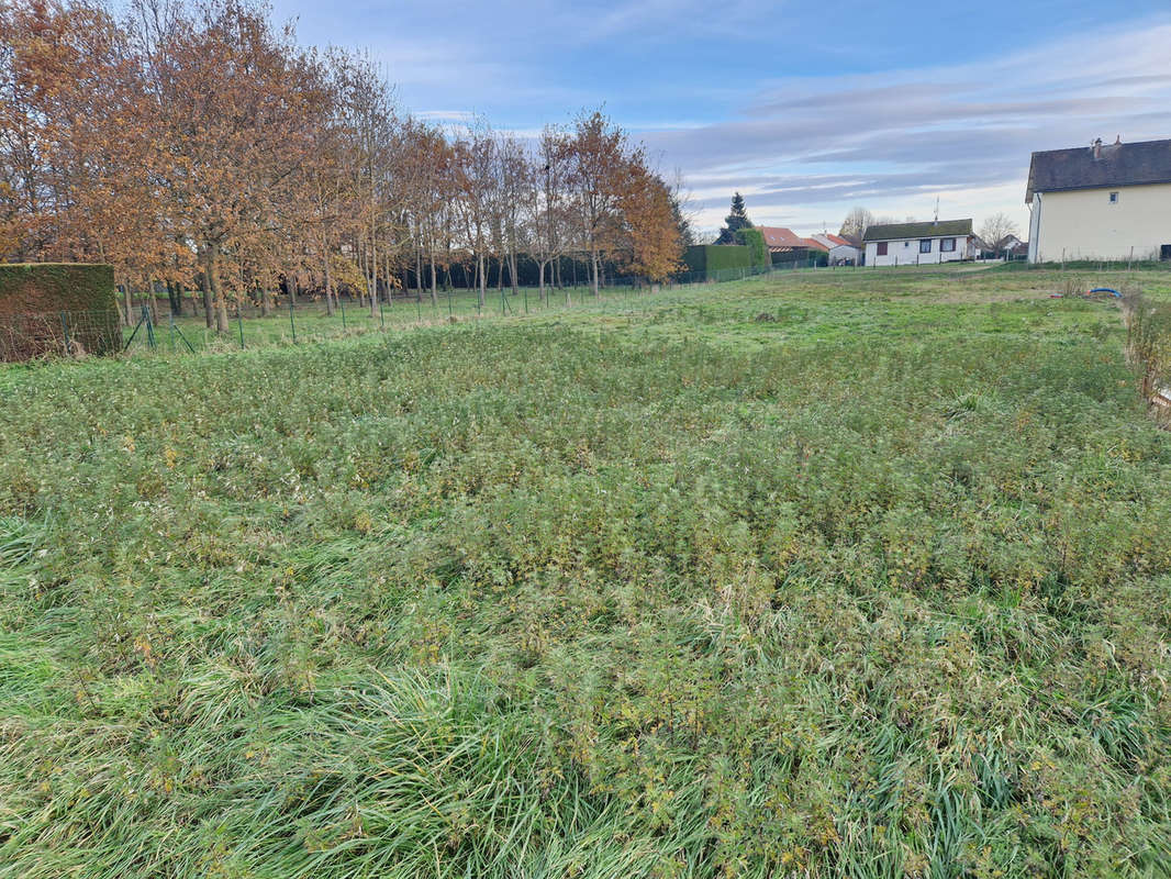 Terrain à OUROUX-SUR-SAONE