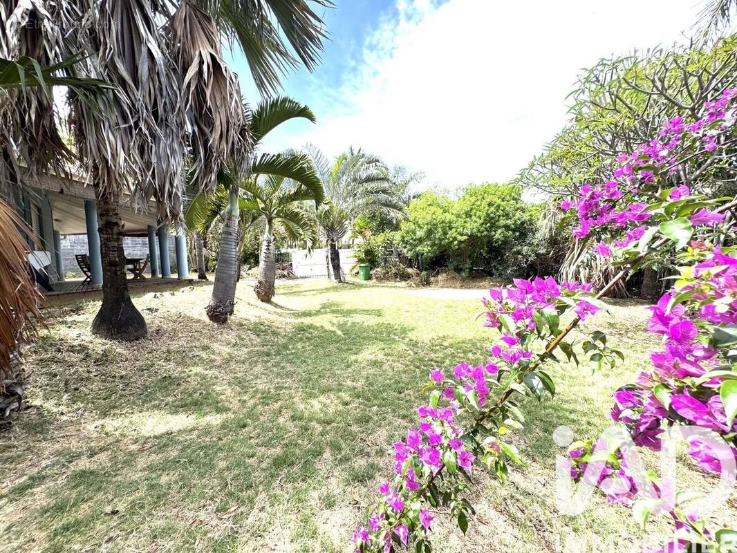 Photo 1 - Maison à SAINT-PIERRE