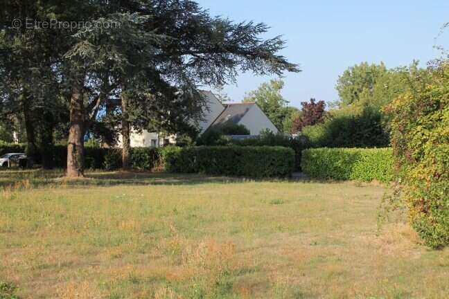 Terrain à ECOUFLANT