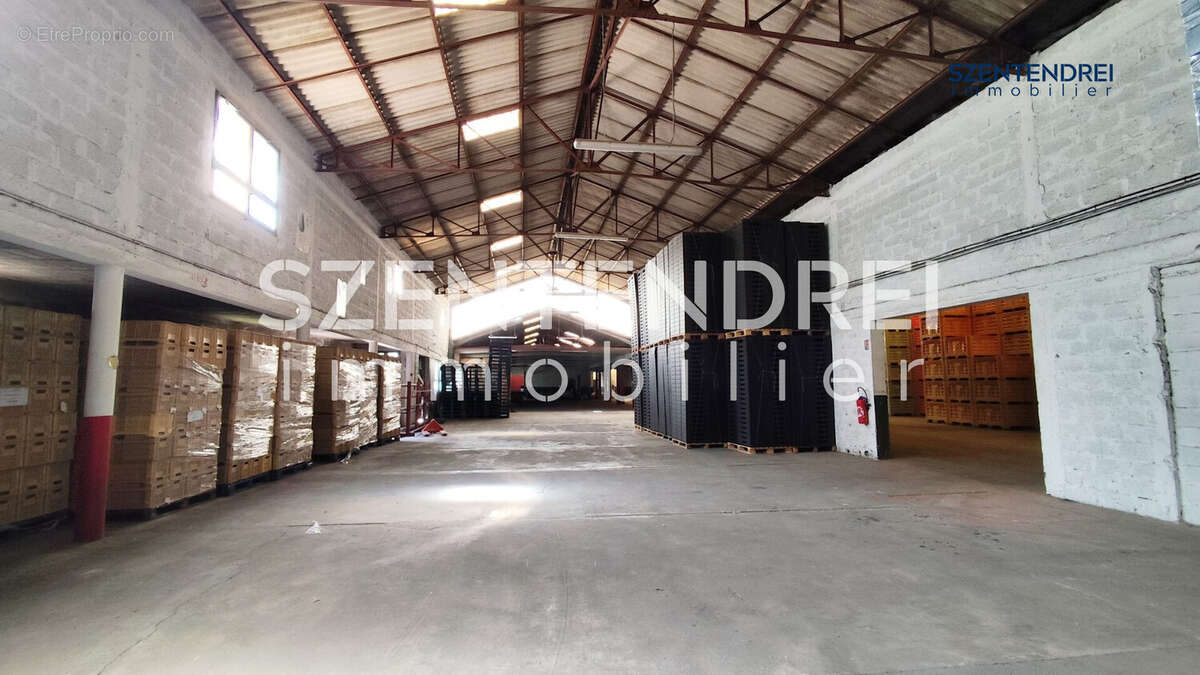 Commerce à PONT-SAINT-ESPRIT