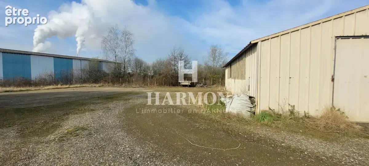 Harmon à vendre :  hangar, zone artisanale de Tartas. - photo 8