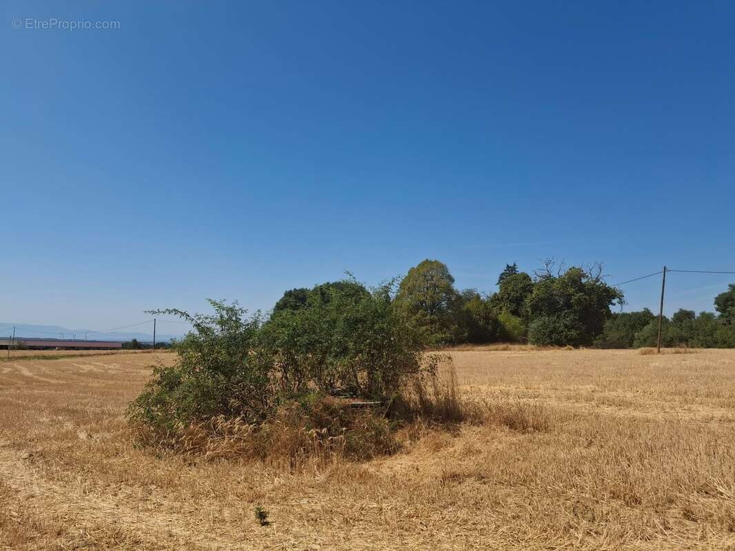A vendre - Roybon (38940) – 3 parcelles de terrain agricole - photo 2