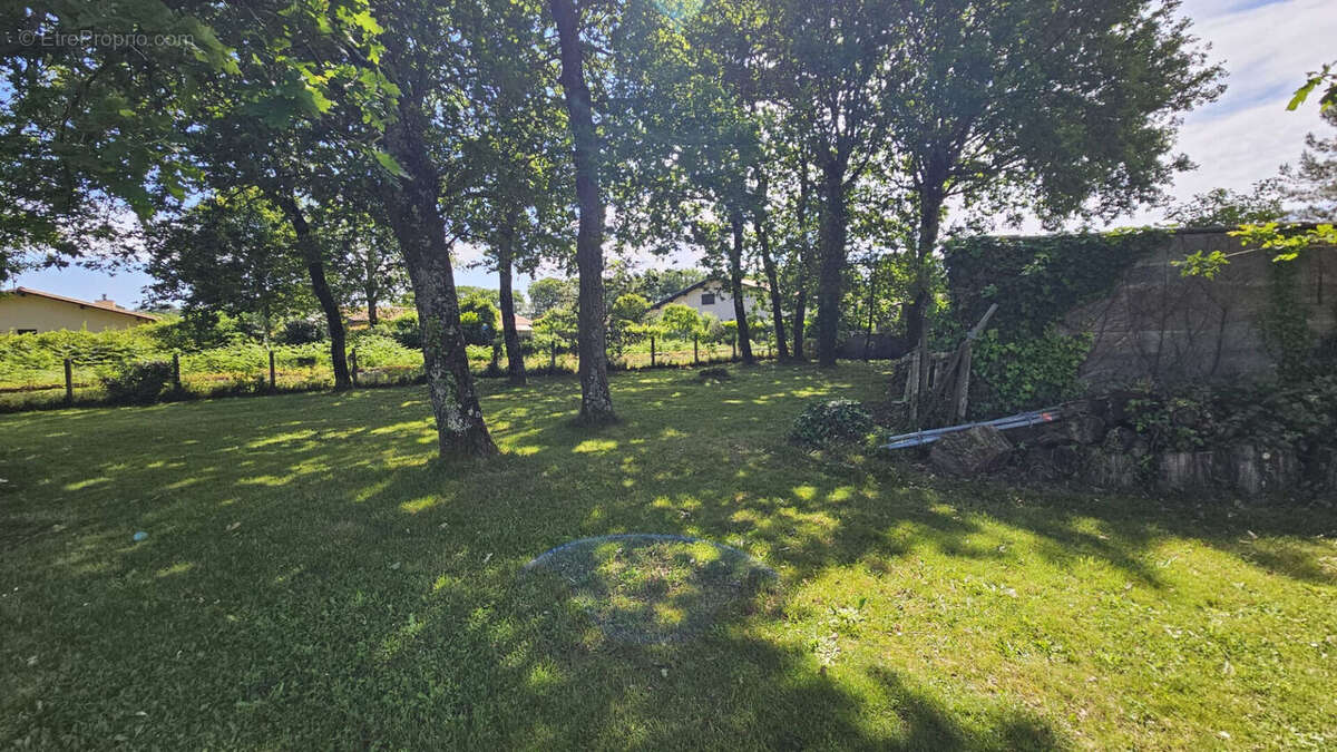 Terrain à LA TESTE-DE-BUCH