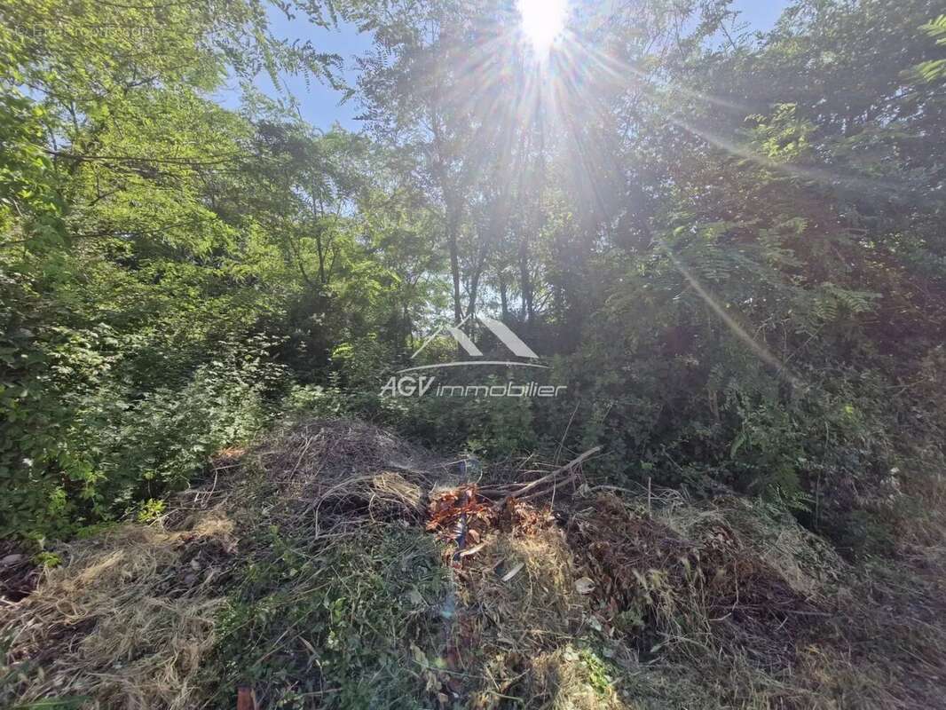 Terrain à SAINT-FLORENT-SUR-AUZONNET