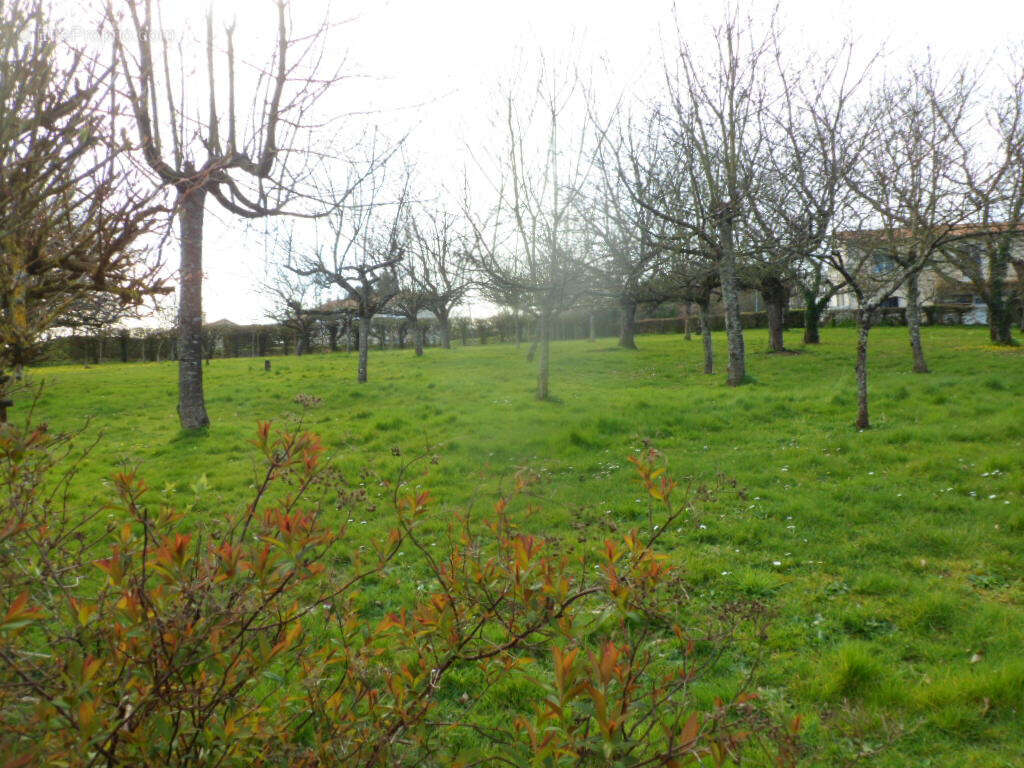 Terrain à MONTOURNAIS
