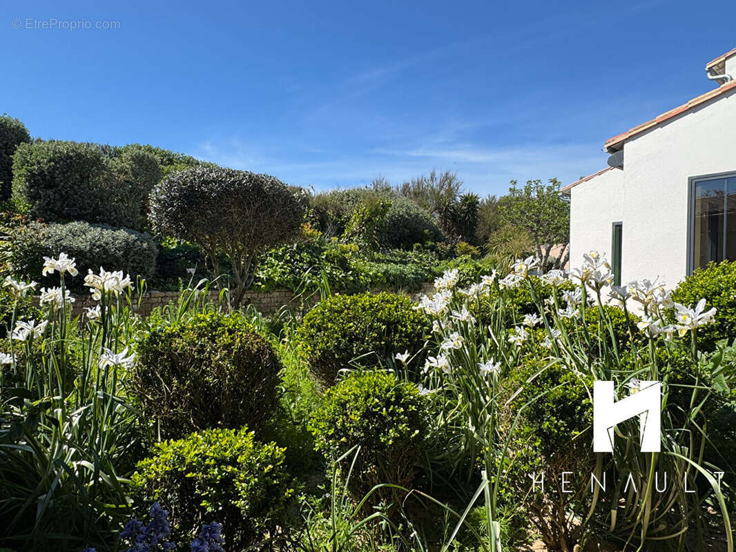 Maison à SAINTE-MARIE-DE-RE