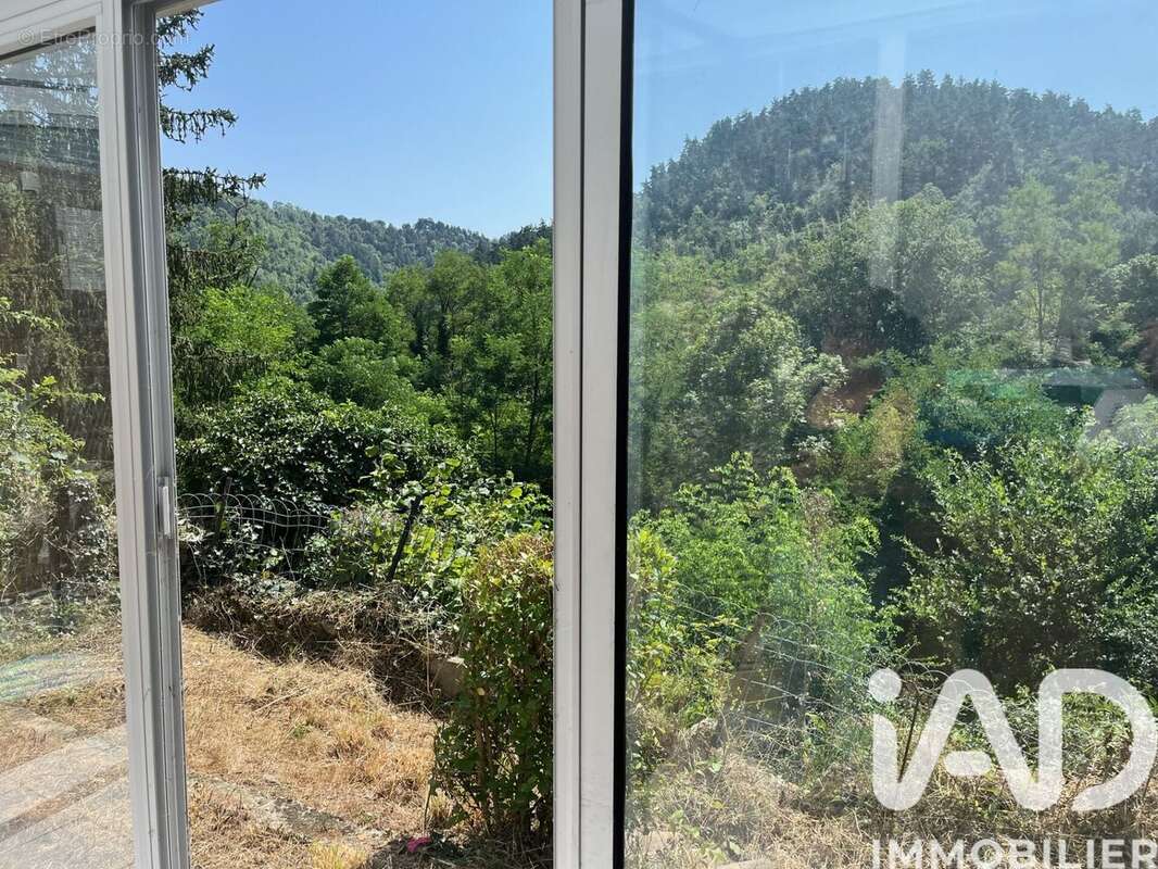 Photo 5 - Maison à BAS-EN-BASSET