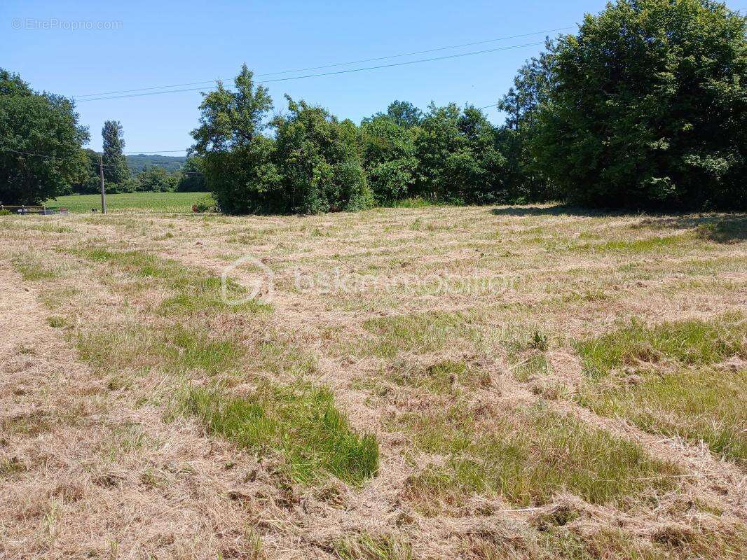 Terrain à bâtir de 2 300 m² - photo 2