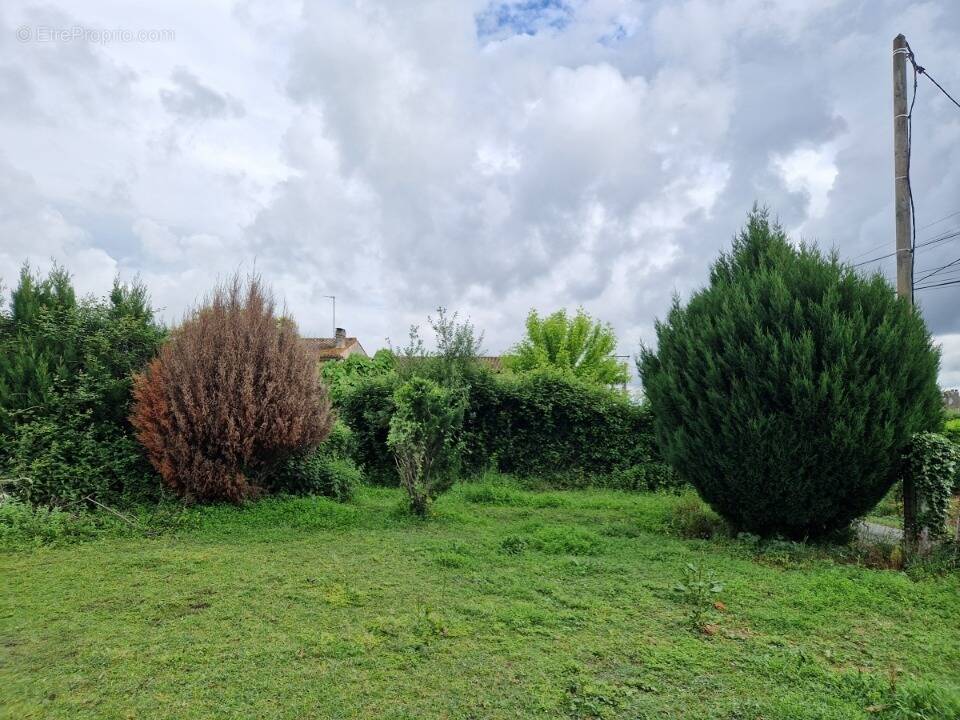 Terrain à SAINT-SULPICE-ET-CAMEYRAC