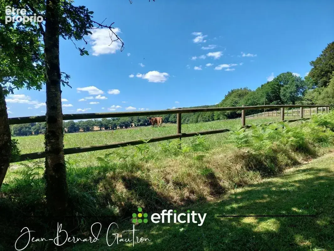 Propriété équestre - photo 19