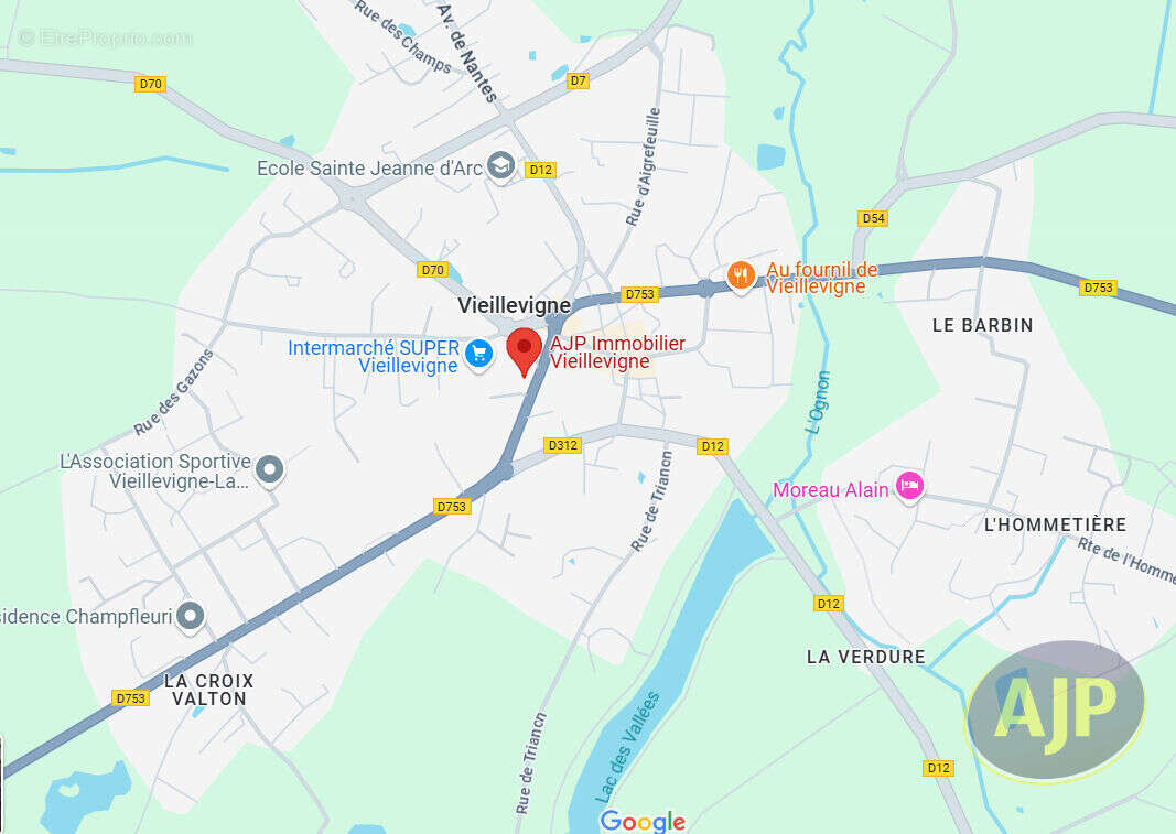 Maison à VIEILLEVIGNE