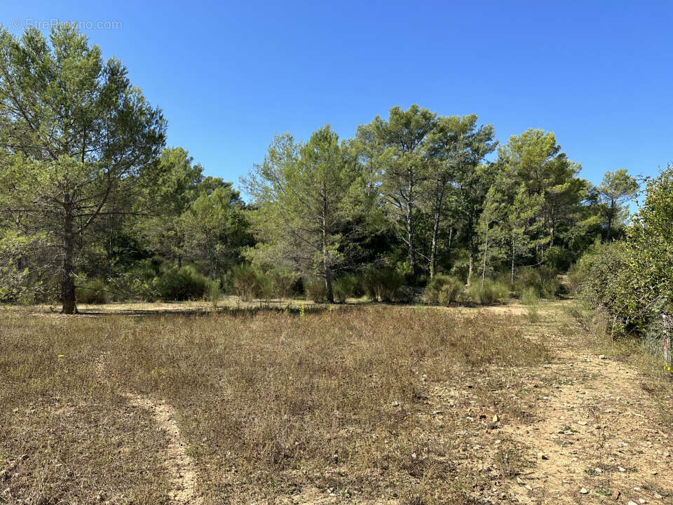 Terrain à MEOUNES-LES-MONTRIEUX