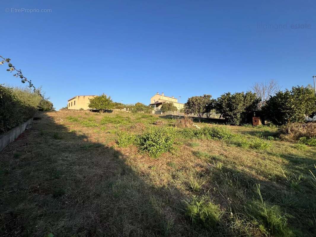 Corse du sud - Ajaccio - Sarrola-Carcopino - Maison - Grand terrain - photo 13