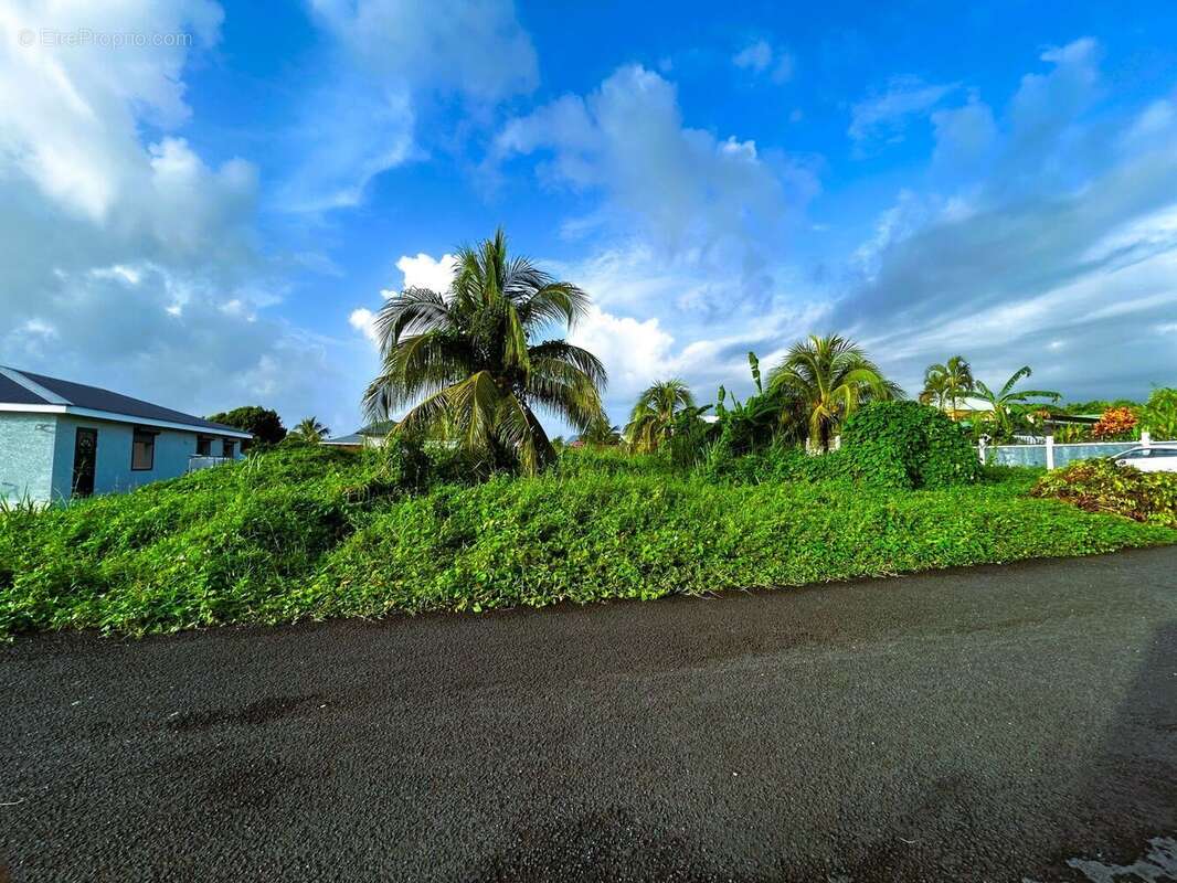 Terrain à CAPESTERRE-BELLE-EAU