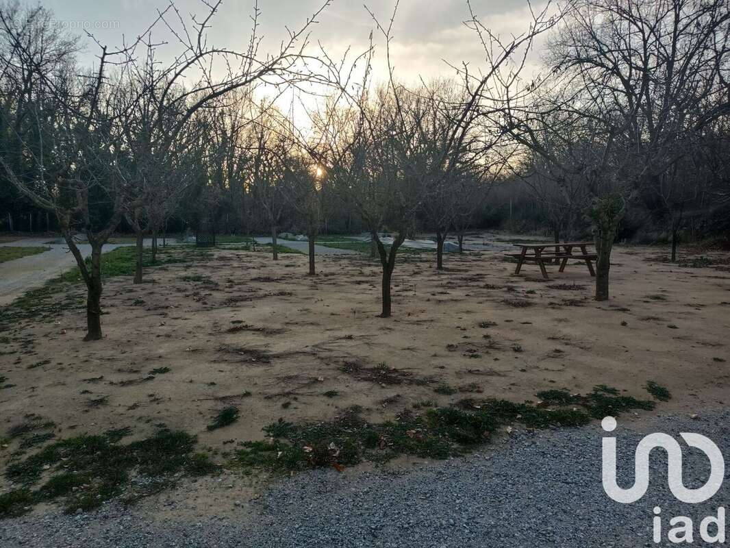 Photo 4 - Terrain à ELNE