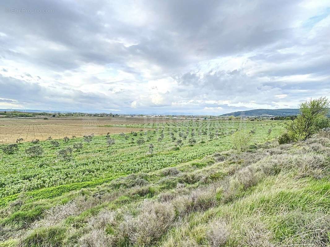 Terrain à LEZIGNAN-CORBIERES