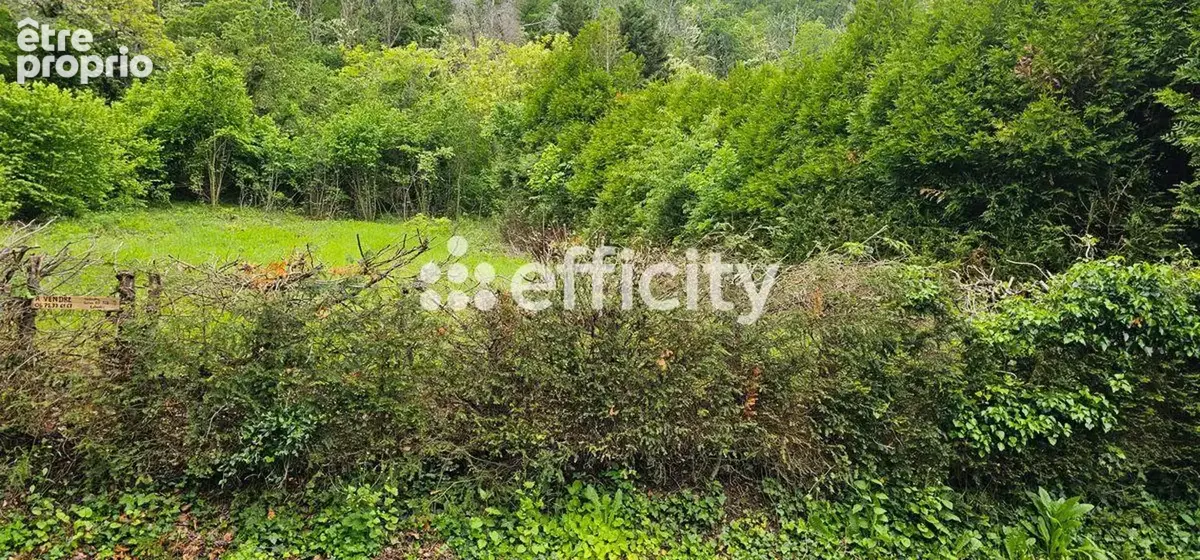 Terrain 1 350 m² à vendre à Sayat (63530) - photo 3