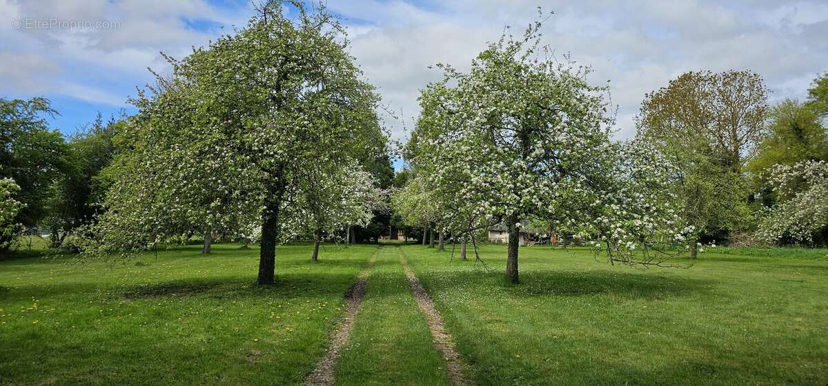 Maison à PONT-L&#039;EVEQUE