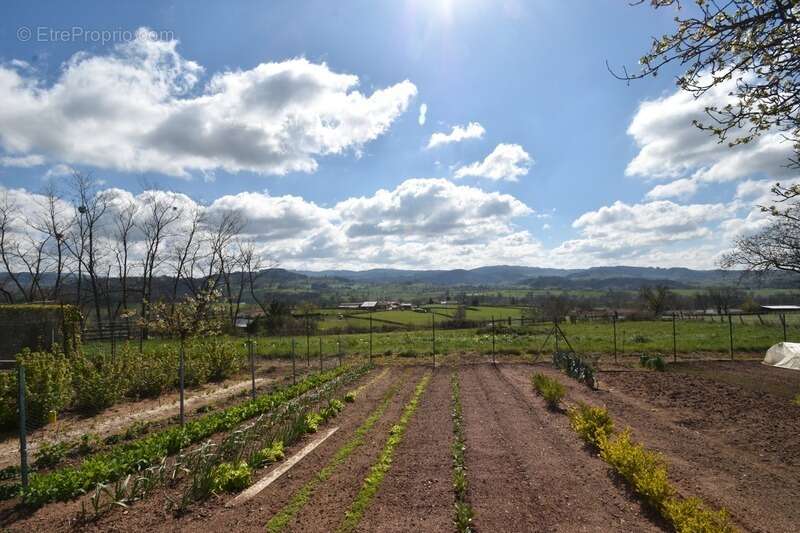 Vue exceptionnelle sur la campagne du sud brionnais - maison 120m² - 3 chambres - secteur trés calme - photo 6