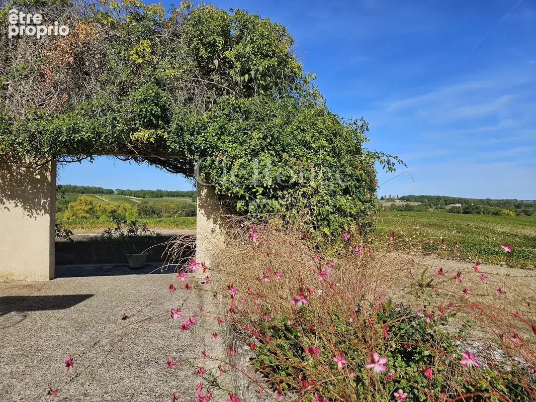 Proche de Pellegrue – Exceptionnel havre de créativité avec gîte et vues panoramiques - photo 34