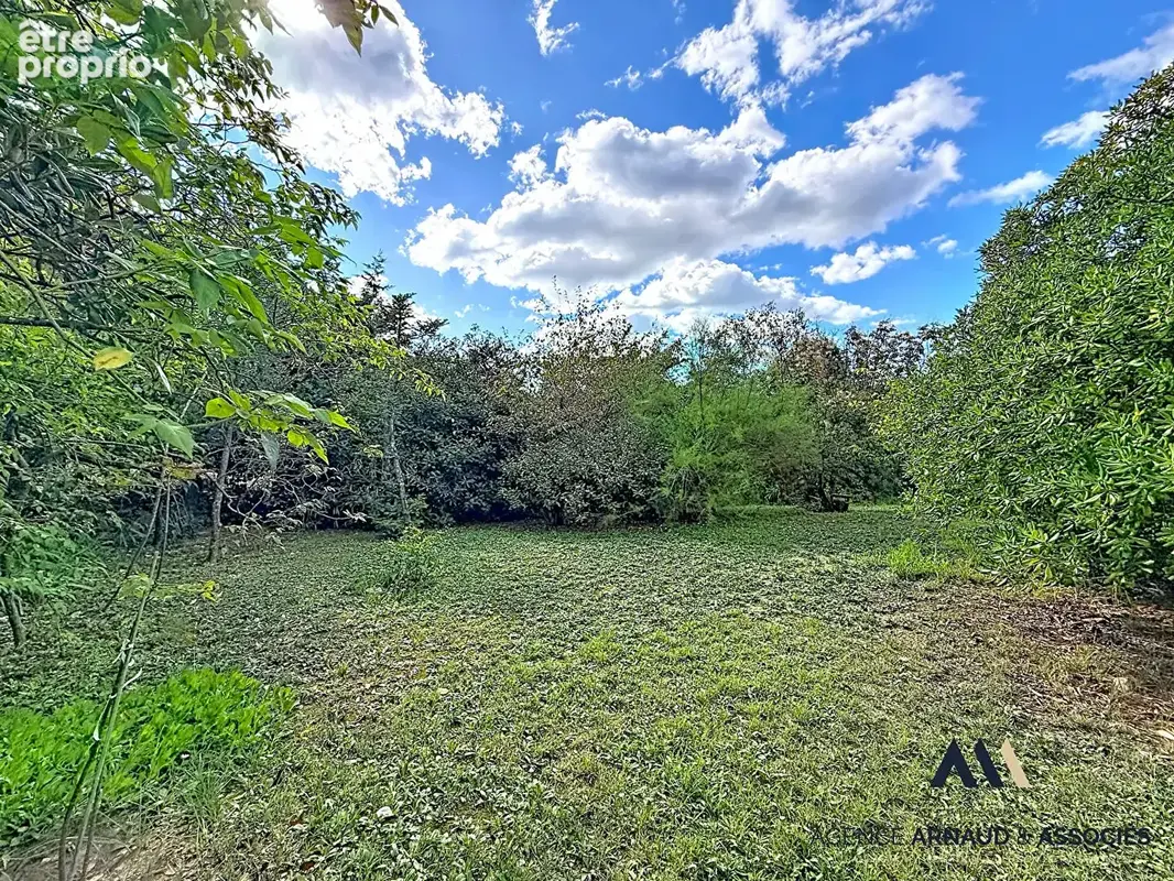 Maison de plain-pied avec piscine, grand jardin arboré et beau potentiel - photo 17