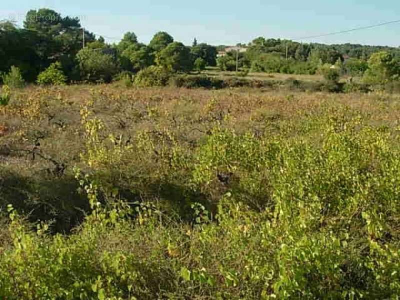 Terrain à CLERMONT-L&#039;HERAULT