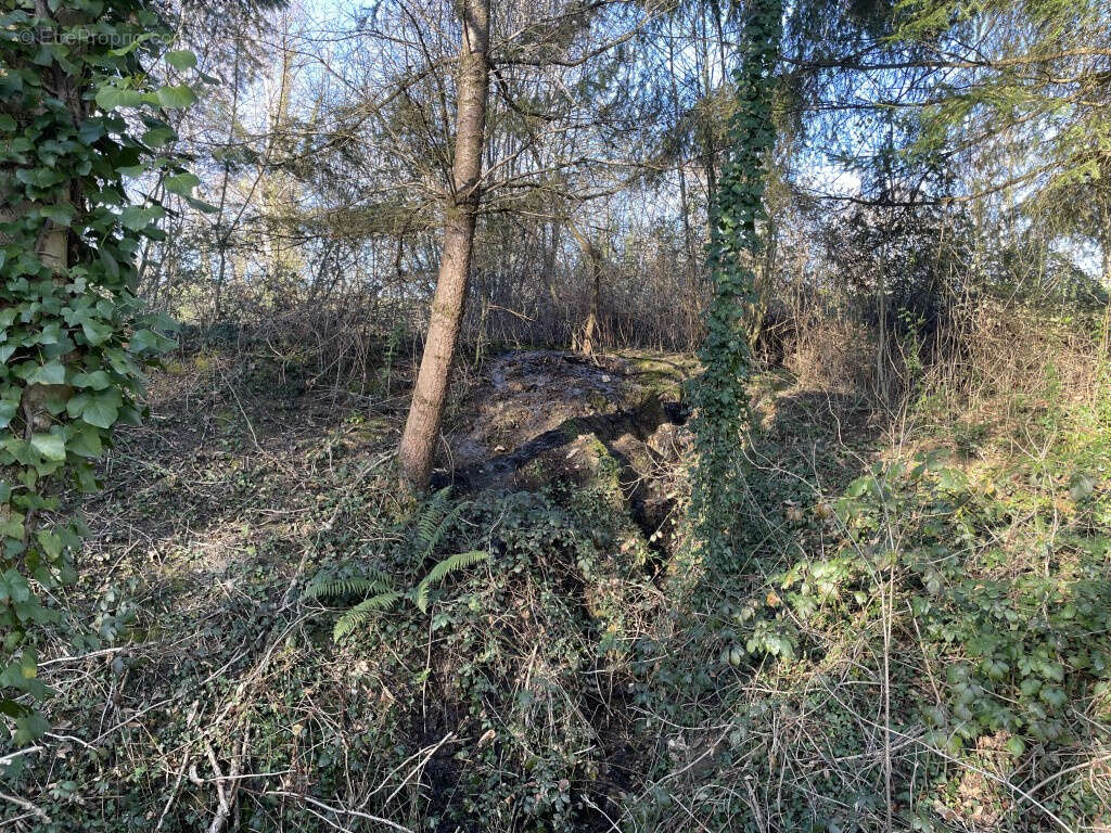 Concèze, proche du bourg, étang 2000 m2 aux normes - photo 13