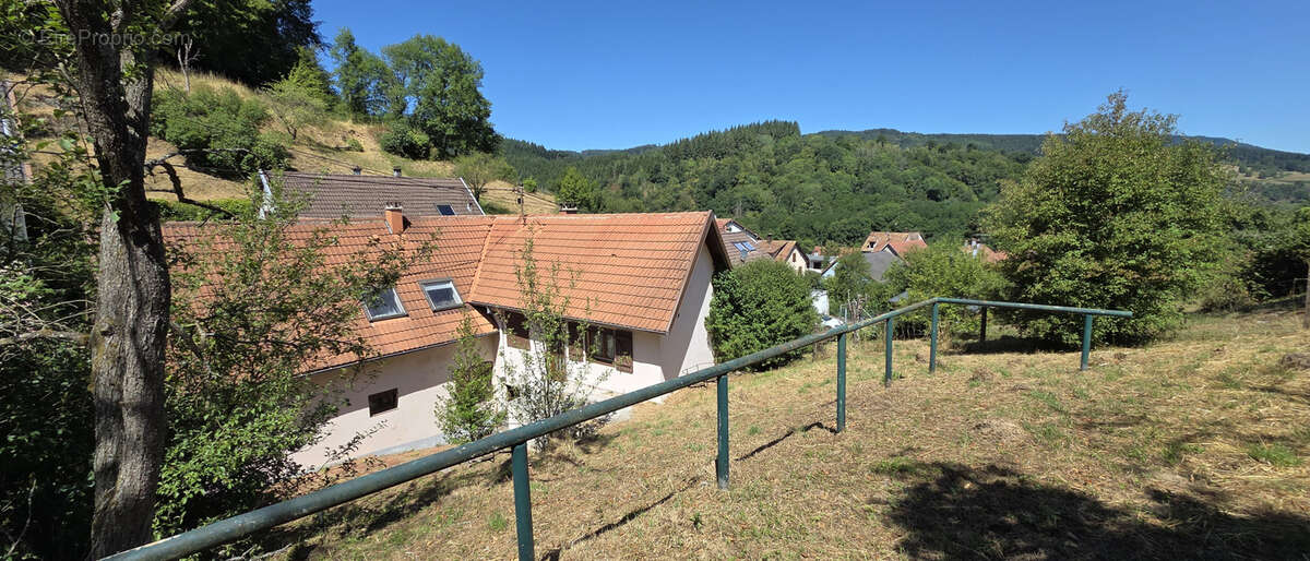Rothau, grande maison individuelle avec logement indépendant, 12.76 ares. - photo 3