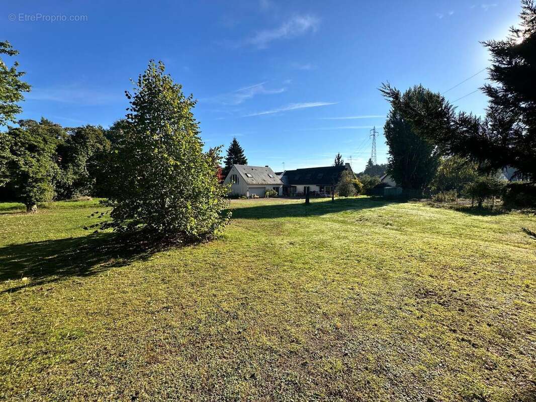 Photo 3 - Maison à OLIVET