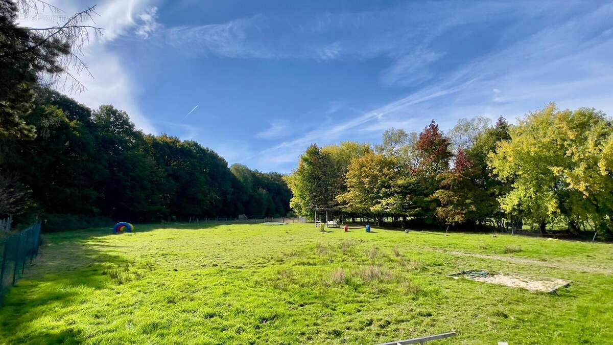 Photo 6 - Maison à SAINT-GEORGES-BUTTAVENT