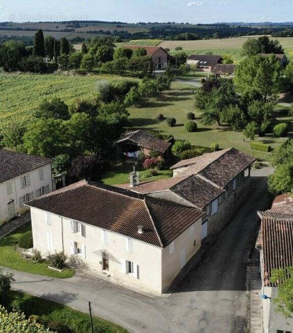 Maison à MONFORT