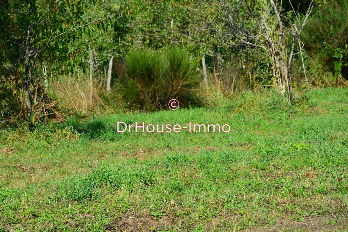 Terrain à BUSSIERE-GALANT